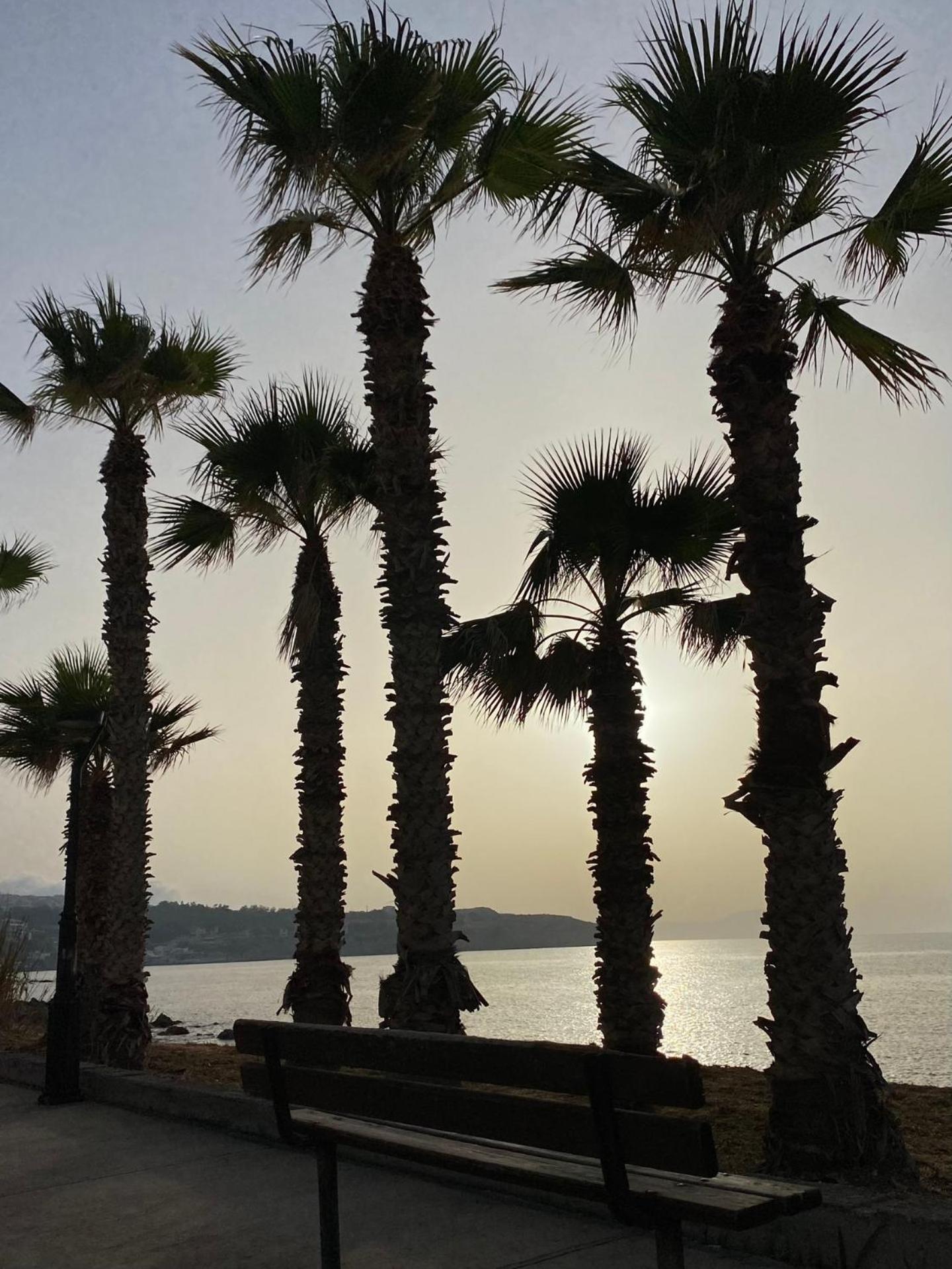 Eftihia * Rethymno (Crete)